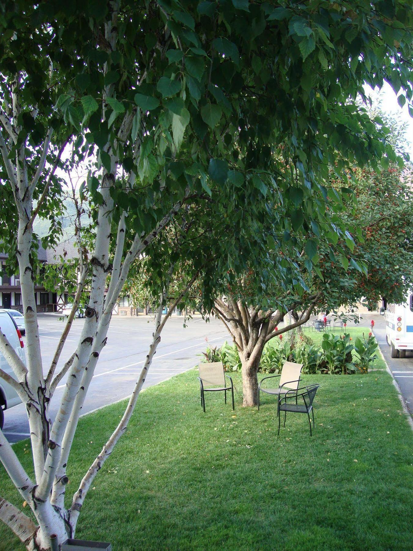 Silver Spruce Inn Glenwood Springs Bagian luar foto